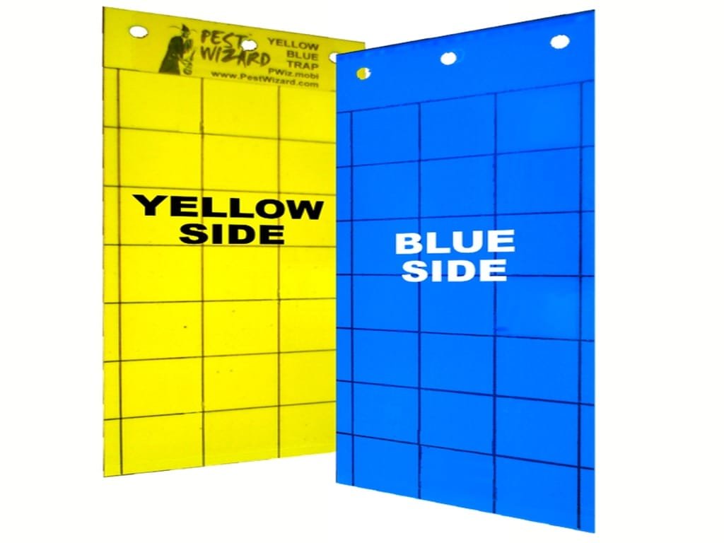 Pest Wizard Blue Yellow Insect Sticky Trap 25 Pack Combo
