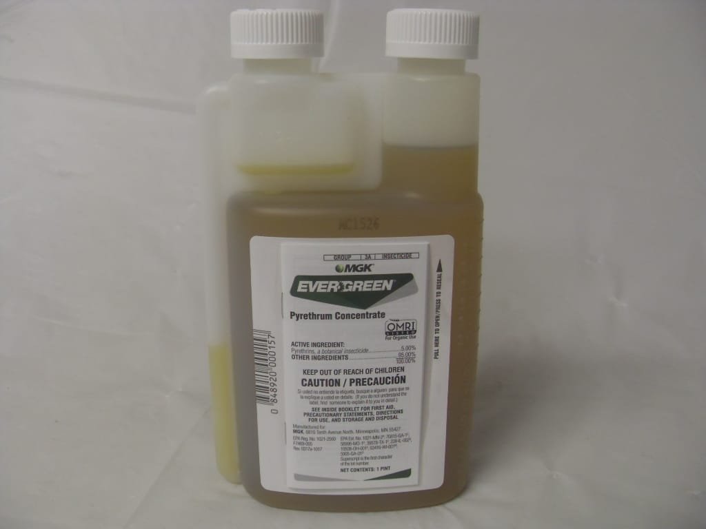 EverGreen Pyrethrum Concentrate Botanical - Pt