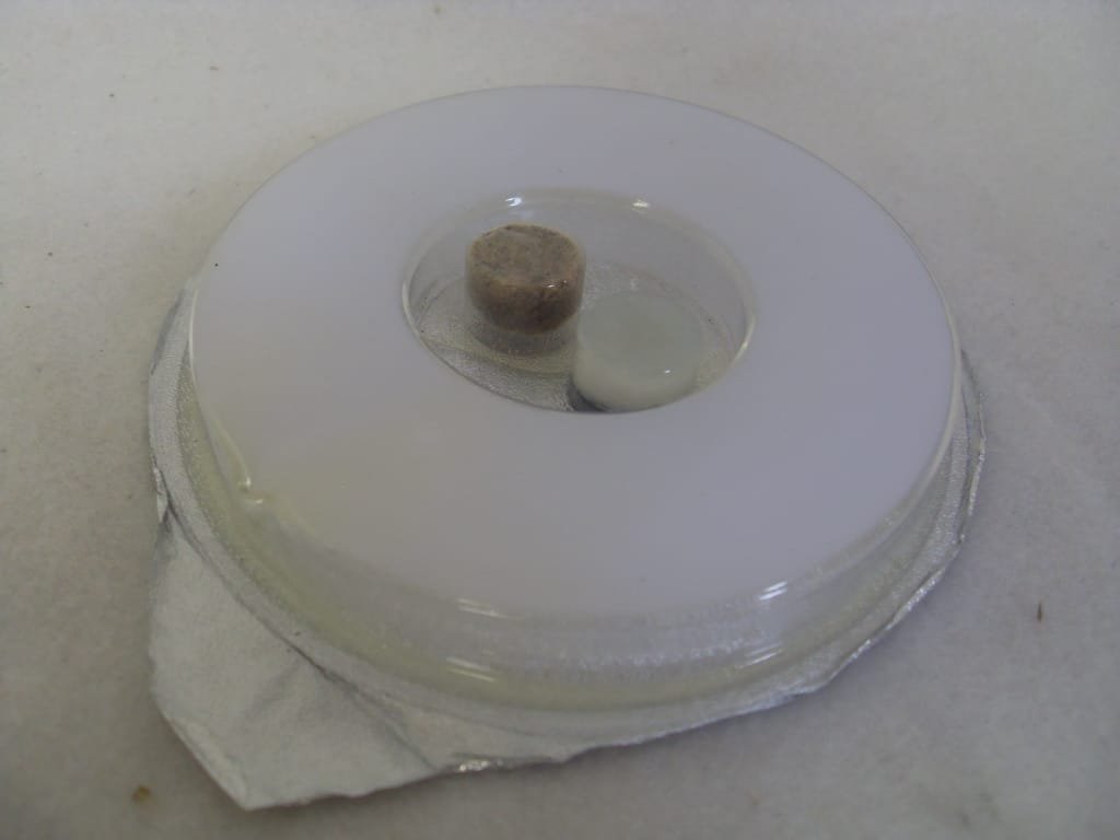 XLure Replacement Cartridge for Beetle Trap 041-XLG-100