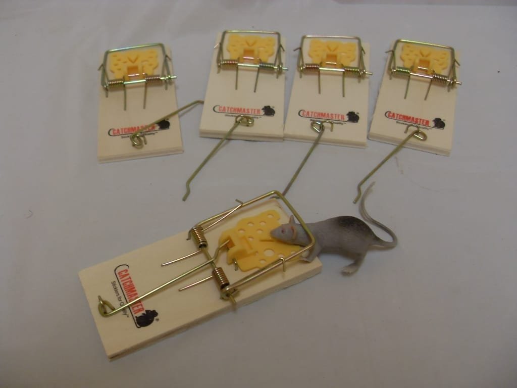 Catchmaster 602PE Snap Trap for Mice - 5 Pks
