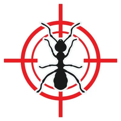 pestanimals ants Pestrong pestanimals ants Pestrong