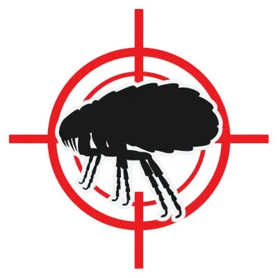 pestanimals flea Pestrong pestanimals flea Pestrong